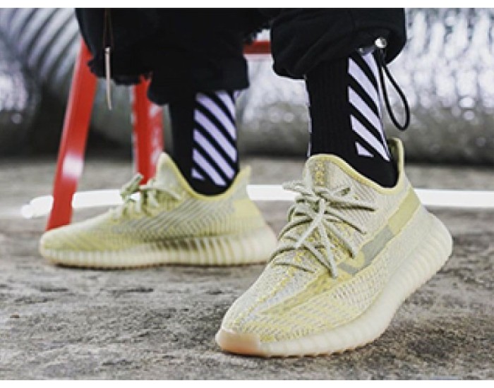 Adidas Yeezy Boost 350 V2 Antlia