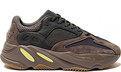 Adidas Yeezy Boost 700 Brown